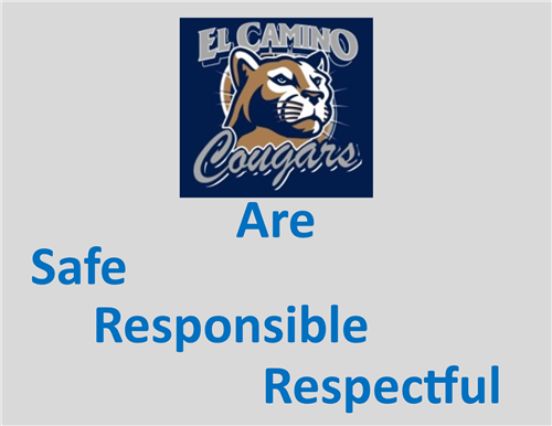 Safe Responsible Respectful